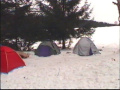 Viklan leden 2000