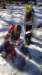 _133157_small.jpg