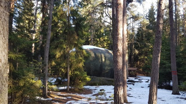 _145137.jpg