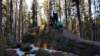 20190216_145205 _145205_small.jpg