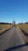 20190216_160350 _160350_small.jpg