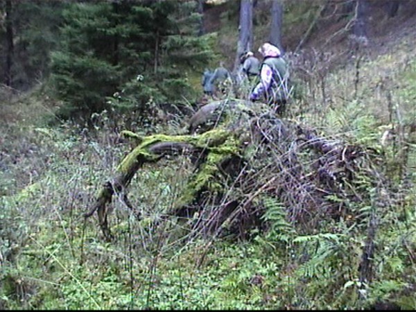 Hluboká 2000 - podzim