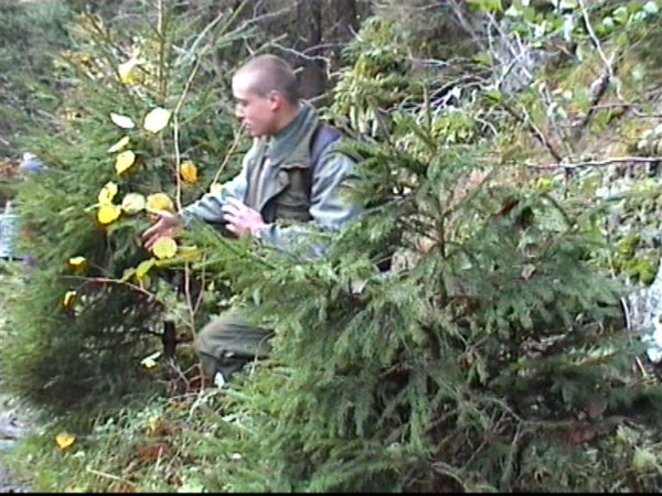 Hluboká 2000 - podzim