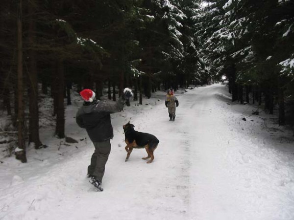 Hubertus 2005 - výpravy a brigády