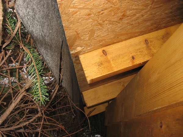 Hubertus 2005 - výpravy