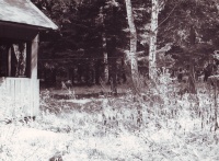 foto2