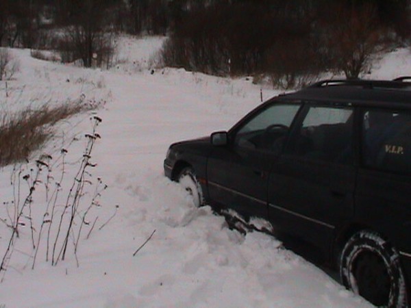 Viklan 2004
