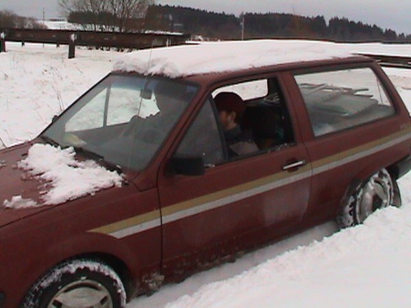 Viklan 2004