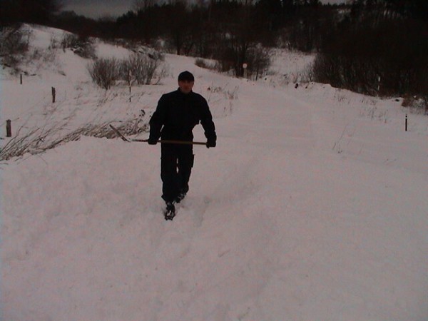 Viklan 2004