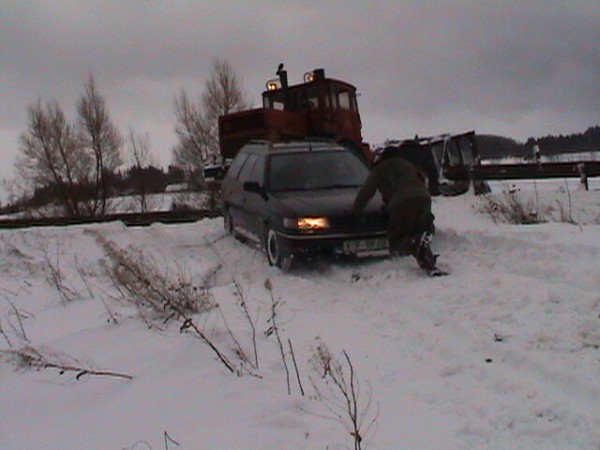 Viklan 2004