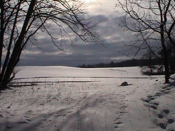 Viklan 2004