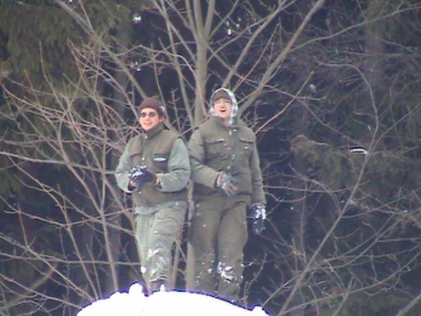 Viklan 2004